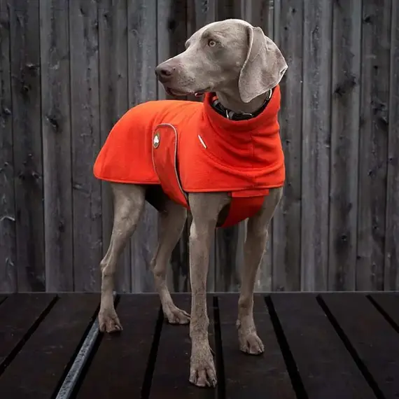 Gefüttertes Brustband für Hundemantel/ Pullover orange • Theo & Emma