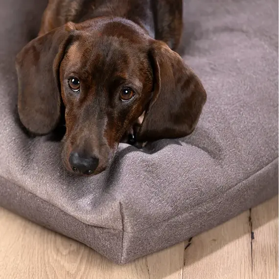 Wechselbezug für LABONI Hundekissen • BUFFALO taupe