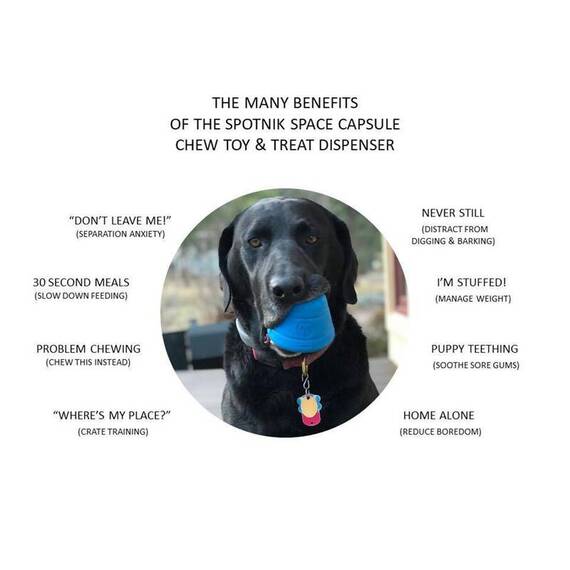 Leckerlispender aus Naturkautschuk ✶ SodaPup® Spotnik