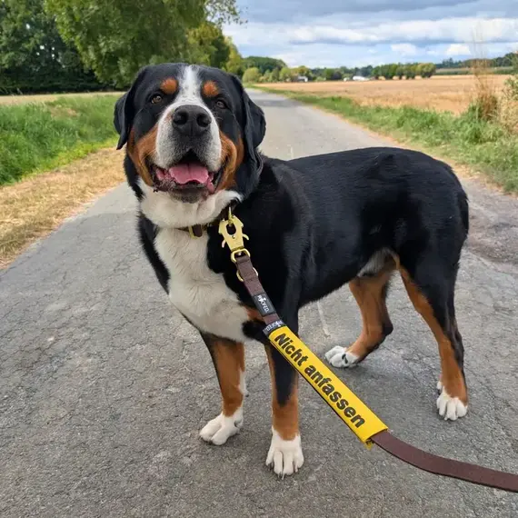 Leinen-Banderole 'Nicht anfassen' orange