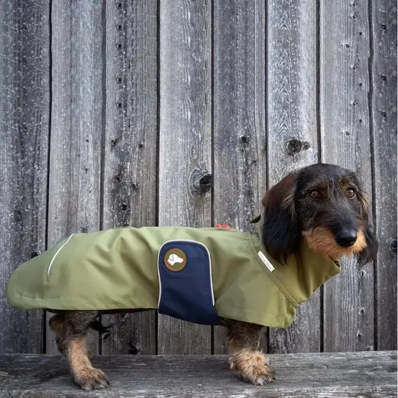 Regenmantel für Dackel, oliv • Theo & Emma 'Cooper'
