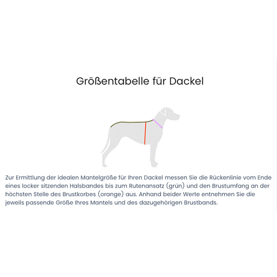 Dackel-Pullover, Fleece anthrazit • Theo & Emma 'Henry'