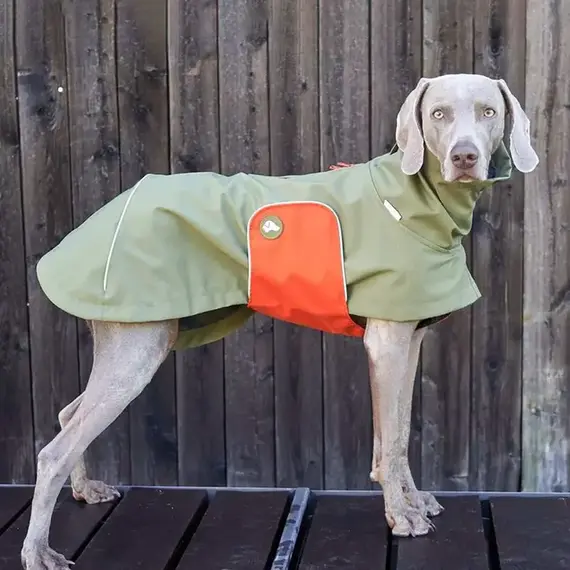 Hunde-Regenmantel, oliv • Theo & Emma 'Cooper'