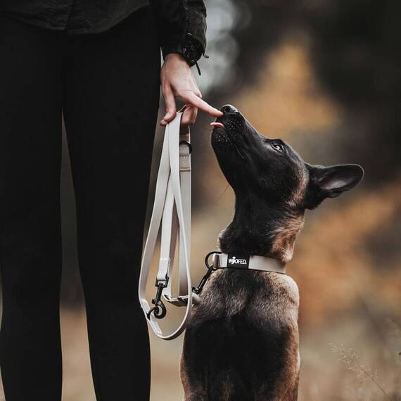 Wasserfeste Hundeleine, verstellbar • WOOFLEX® Classic Desert Sand