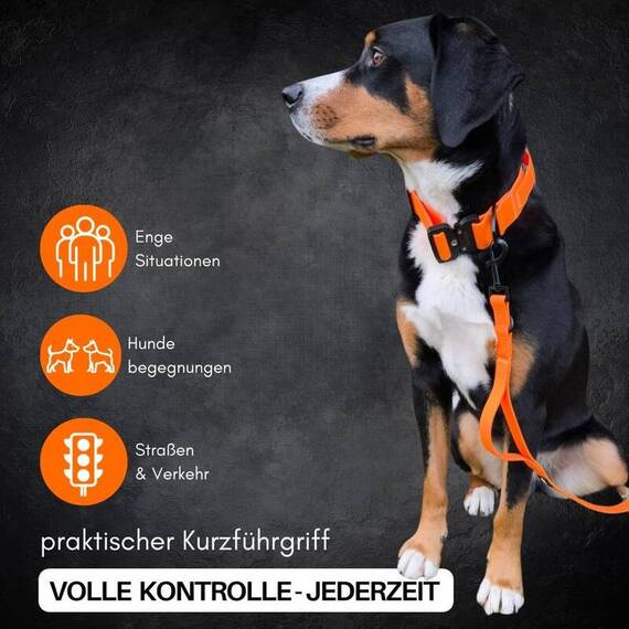 Wasserfeste Hundeleine, verstellbar • WOOFLEX® Classic Sunset Orange