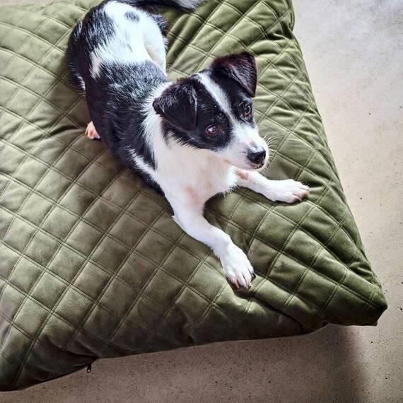 Wechselbezug für LABONI Hundekissen • OXFORD oliv