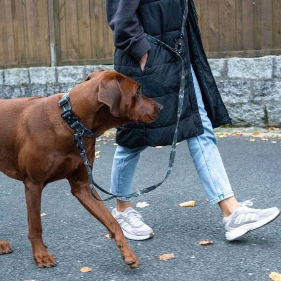 Wasserfestes Hundehalsband mit Griff • WOOFLEX® Tactical Woodland Camo