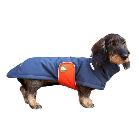 Dackel-Wintermantel, wasserdicht • Oskar Midnight Navy