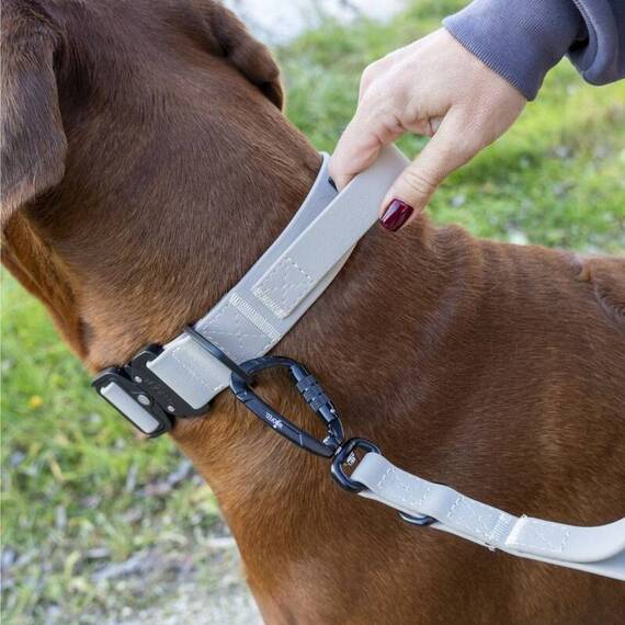 Wasserfeste Hundeleine, verstellbar • WOOFLEX® Pro Desert Sand