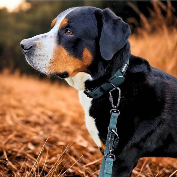 Wasserfeste Hundeleine, verstellbar • WOOFLEX® Pro Hunting Green