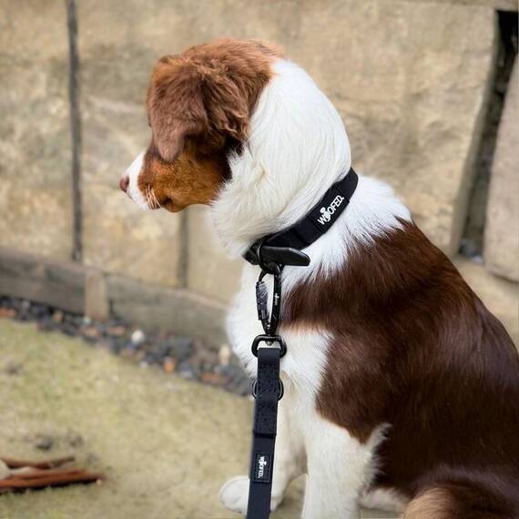 Wasserfeste Hundeleine, verstellbar • WOOFLEX® Pro Phantom Black