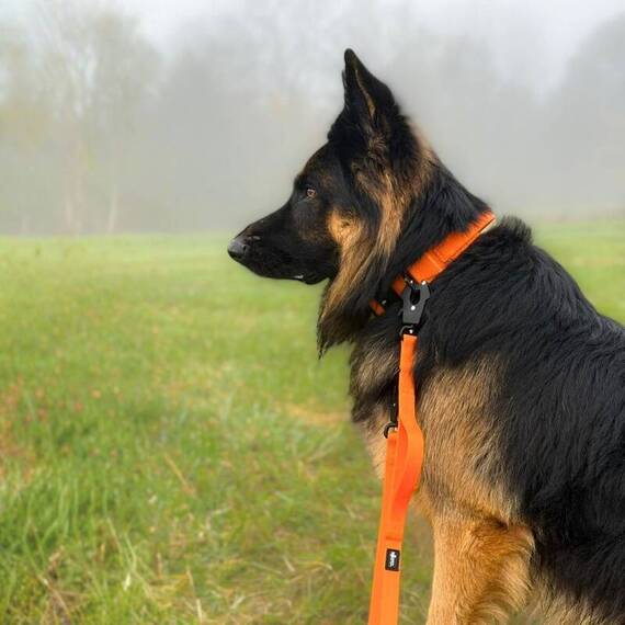 Wasserfeste Hundeleine, verstellbar • WOOFLEX® Tactical Sunset Orange