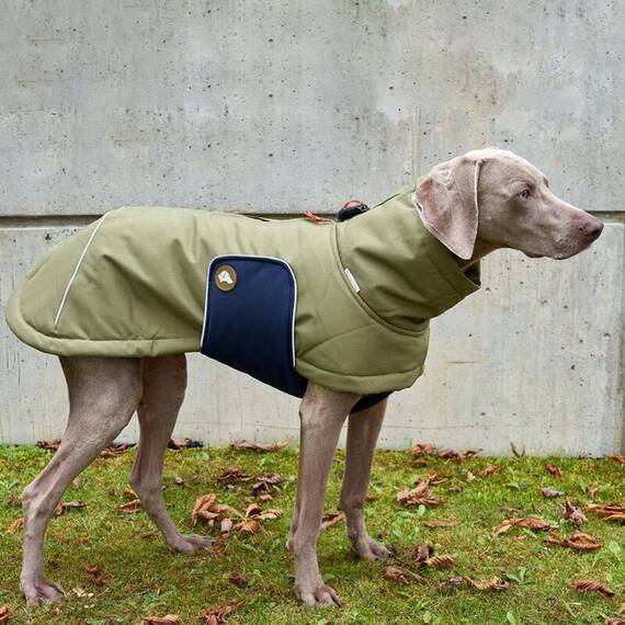 Hunde-Wintermantel, wasserdicht • Oskar Olive Branch