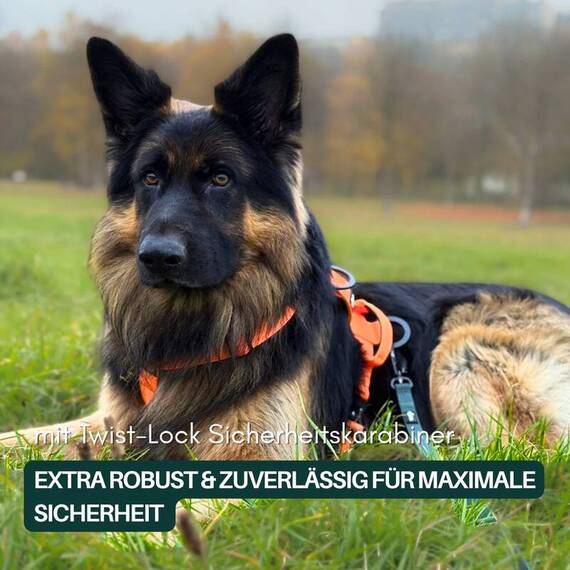 Schleppleine 5m / 7,5m • WOOFLEX® Hunting Green