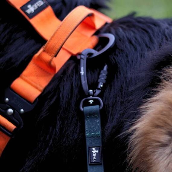 Schleppleine 5m / 7,5m • WOOFLEX® Hunting Green