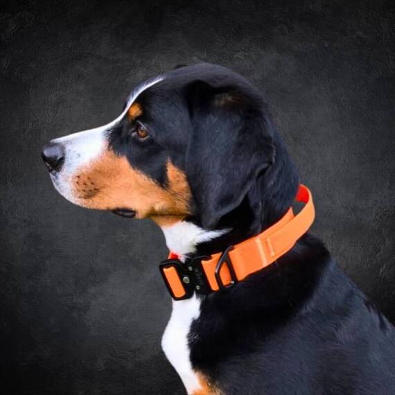 Wasserfestes Hundehalsband mit Griff • WOOFLEX® Tactical Sunset Orange