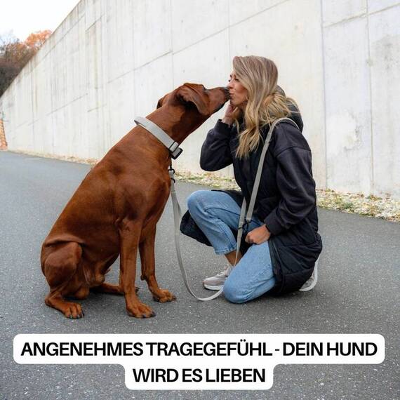 Wasserfestes Hundehalsband mit Griff • WOOFLEX® Tactical Desert Sand