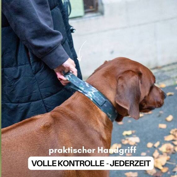 Wasserfestes Hundehalsband mit Griff • WOOFLEX® Tactical Woodland Camo