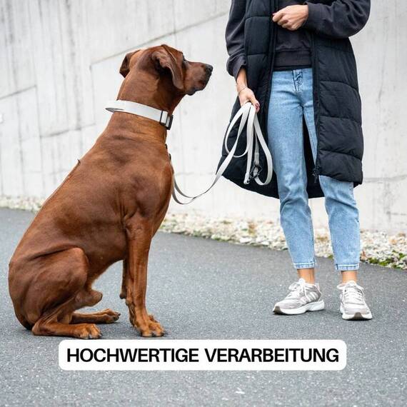 Wasserfestes Hundehalsband mit Griff • WOOFLEX® Tactical Desert Sand