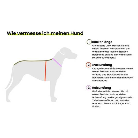 Hunde-Wintermantel, wasserdicht • Oskar Olive Branch