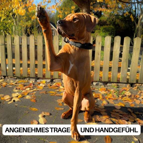 Wasserfestes Hundehalsband mit Griff • WOOFLEX® Tactical Phantom Black