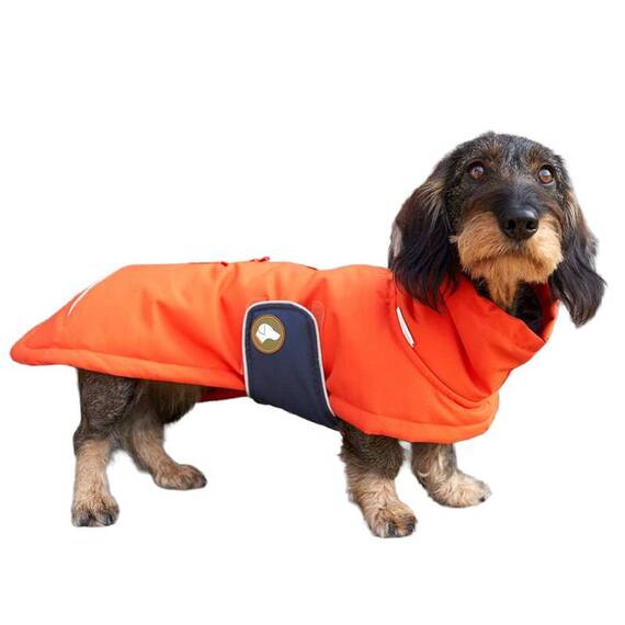 Dackel-Wintermantel, wasserdicht • Oskar Pumpkin Orange