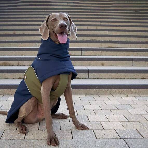 Hunde-Wintermantel, wasserdicht • Oskar Midnight Navy