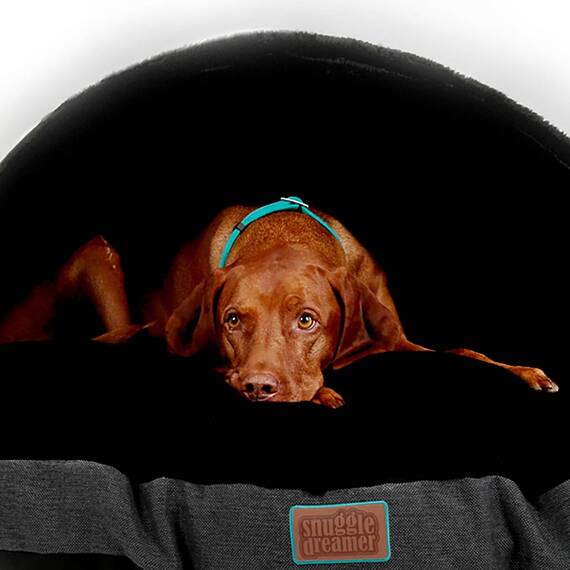 Hundehöhle DANDY DENIM anthrazit