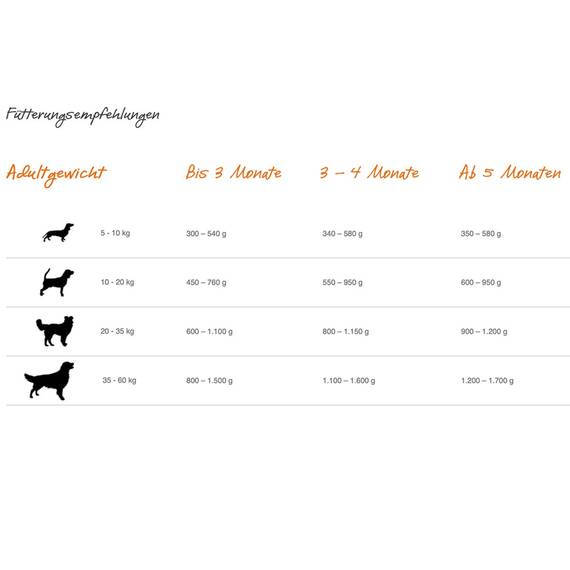 Bio-Hundefutter für Welpen und Junghunde