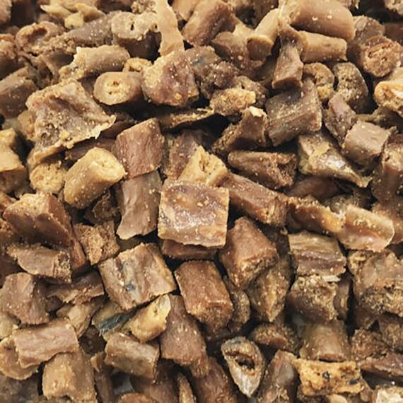 Ocean’s Eleven Nr. 3: Fishbits