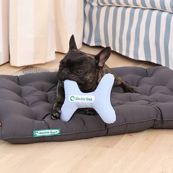 TOY BONE • waschbares Hundespielzeug