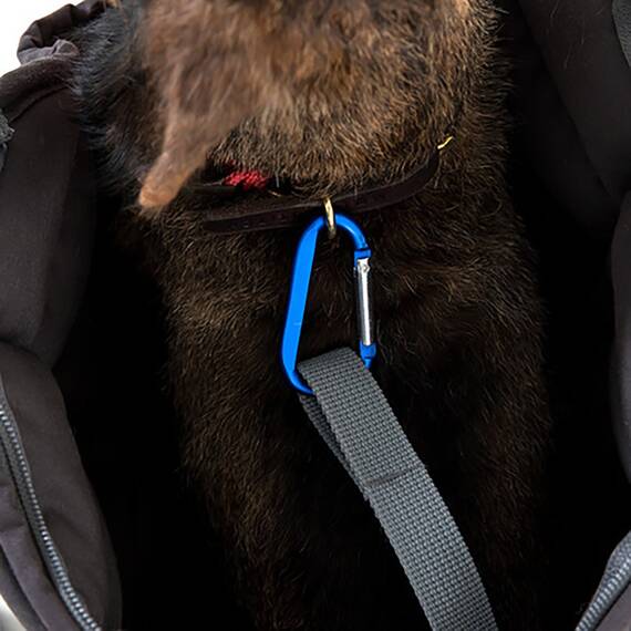 Doctor Bark Hundetragetasche