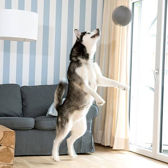 TOY BALL grau, waschbar bei 95°C