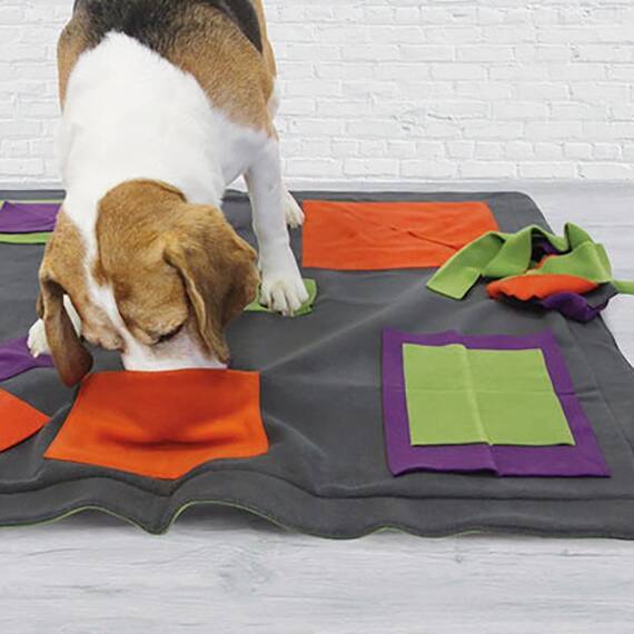 Sniffpad in Steingrau