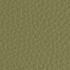 olivgrün – Sonderfarbe