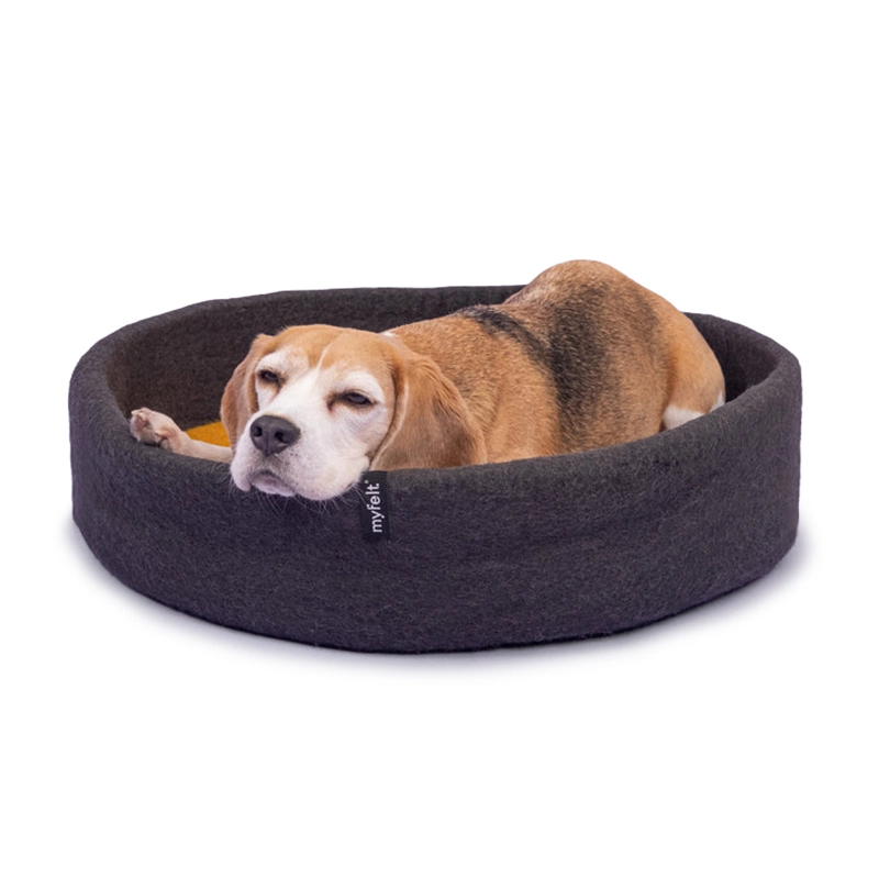 Ovales Hundekörbchen mit schmalem Rand aus echtem Wollfilz. Ein Beagle lässt es sich gutgehen.