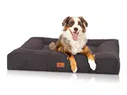 dickes Hundekissen mit breitem Rand, darauf liegt ein Australian Shepherd