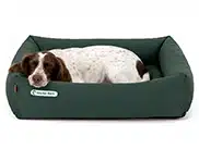 ein dunkelgrünes Hundebett mit umlaufendem, weichem Rand. Darin liegt ein weiß-brauner Jagdhund und schläft tief.