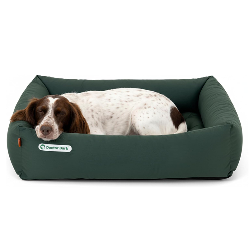 in einem dunkelgrünen Hundebett schläft ein kleiner münsterländer.