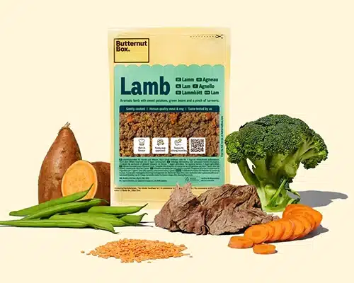Butternut Box Allergiker Hundefutter
