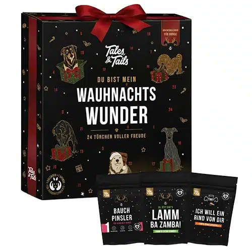 Tales & Tails Adventskalender für Hunde mit Single Protein Snacks und Leckerli